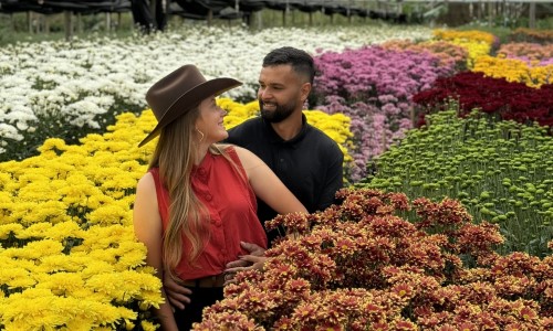 De montanhas a queijos: Influenciadores exploram os encantos de Nova Friburgo